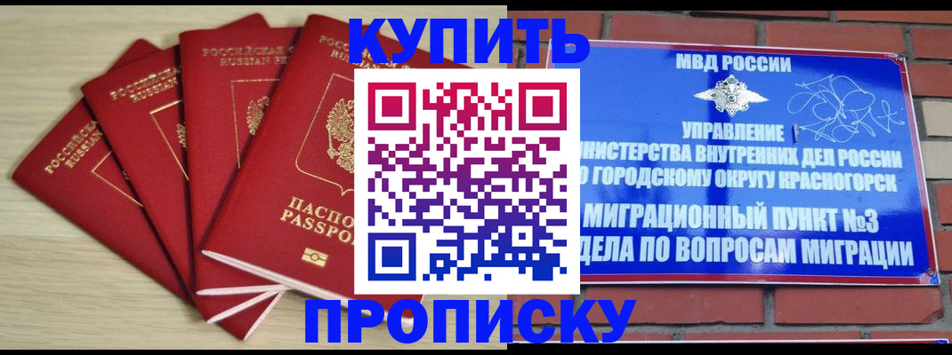 временная регистрация для всех в Никольском